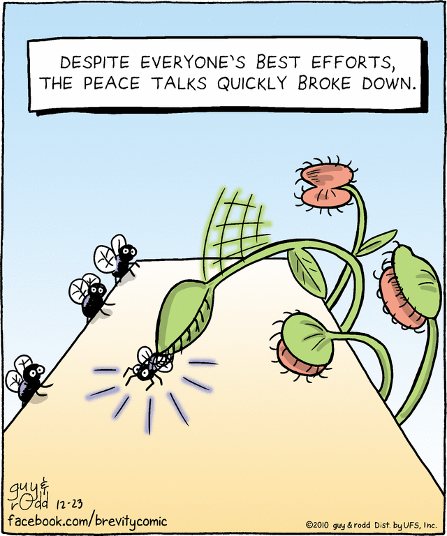 brevity